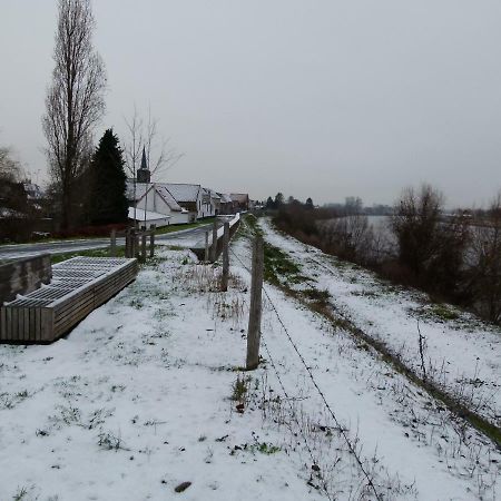 De Twie Keuninge Maasmechelen Bagian luar foto